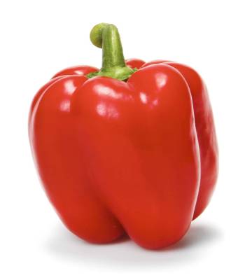 nutrition facts for 1 Each of Red Bell Pepper