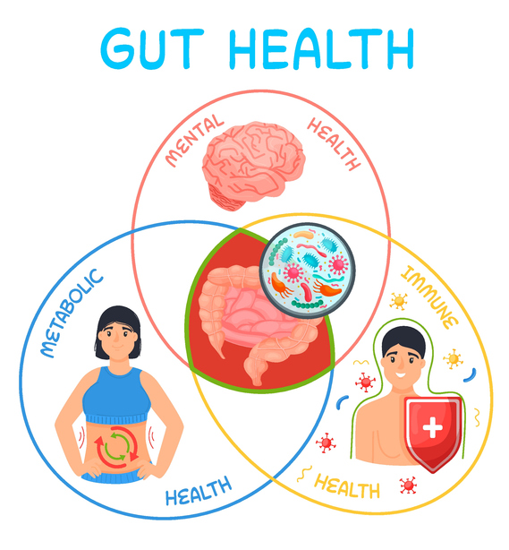 Gut health and depression - probio5