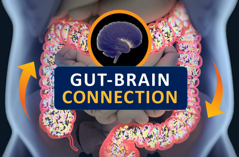 Anxiety and Digestion Problems: Understanding the Gut-Brain Connection